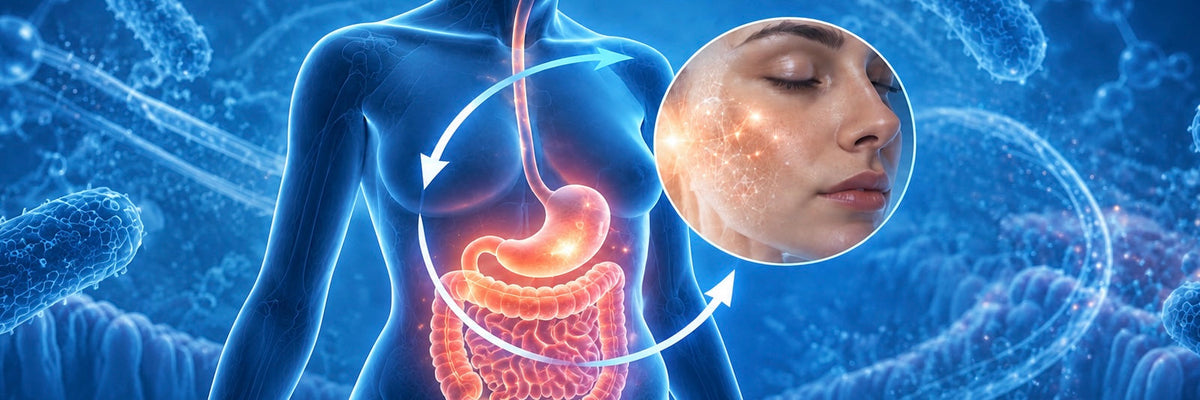 The Gut-Skin Axis: Why Your Skin Starts in Your Digestive System